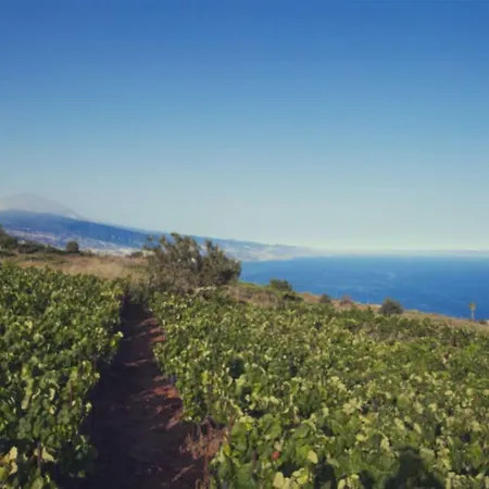Relax En Tenerife Санта-Урсула